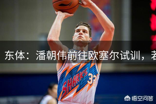 东体：潘朝伟前往欧塞尔试训，若成功年满18岁后再签正式职业合同
